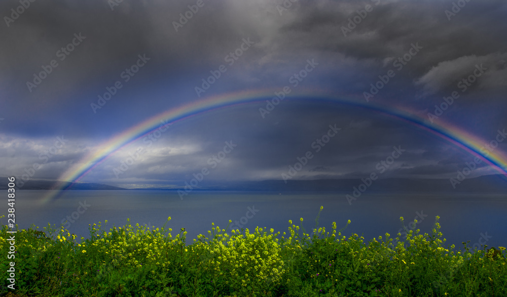 Naklejka premium Rainbow over water