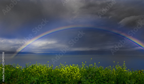 Fototapeta Naklejka Na Ścianę i Meble -  Rainbow over water