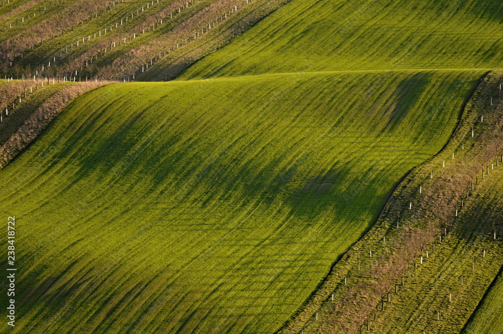 spring field spring field