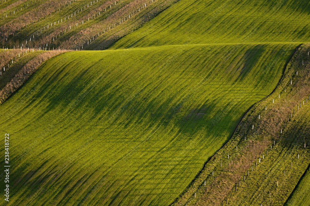 spring field