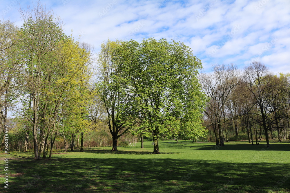 city park during spring