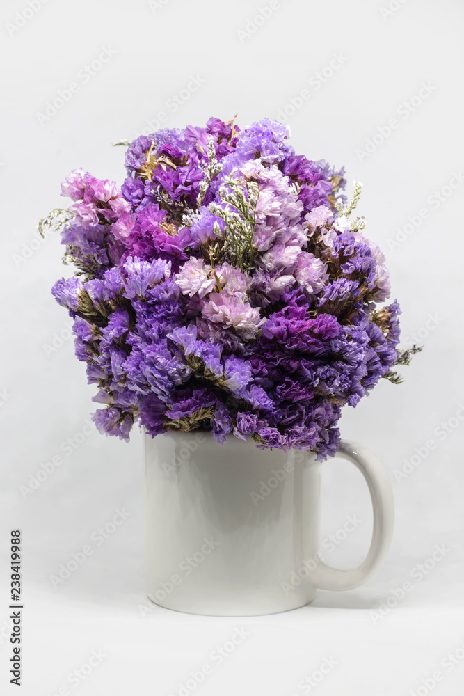 beautiful lilac flowers in metal bucket isolated on white beautiful lilac flowers in metal bucket isolated on white