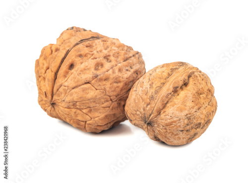 Large and small walnut