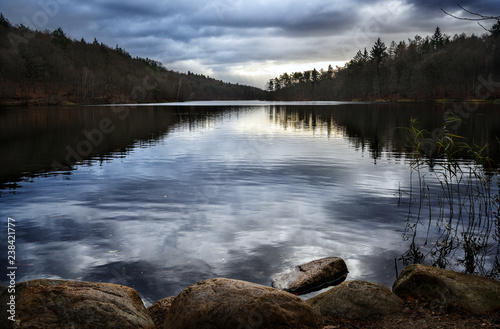 forest lake with reflected clouds, nature background with copy space photo