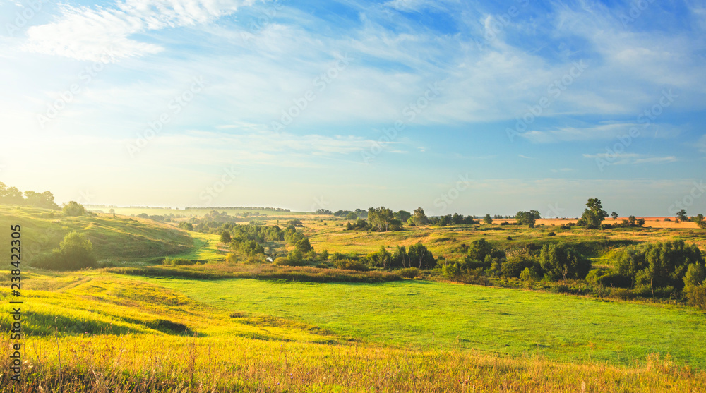 Summertime.Sunny country  summer landscape with green meadows,hills,golden wheat fields and distant woods at sunrise.Golden morning sunlight illuminates the farmlands.