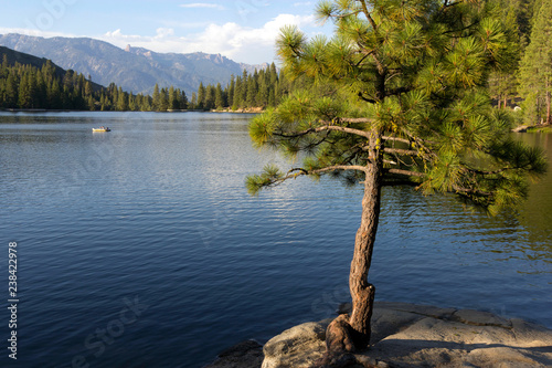 Hume lake  california