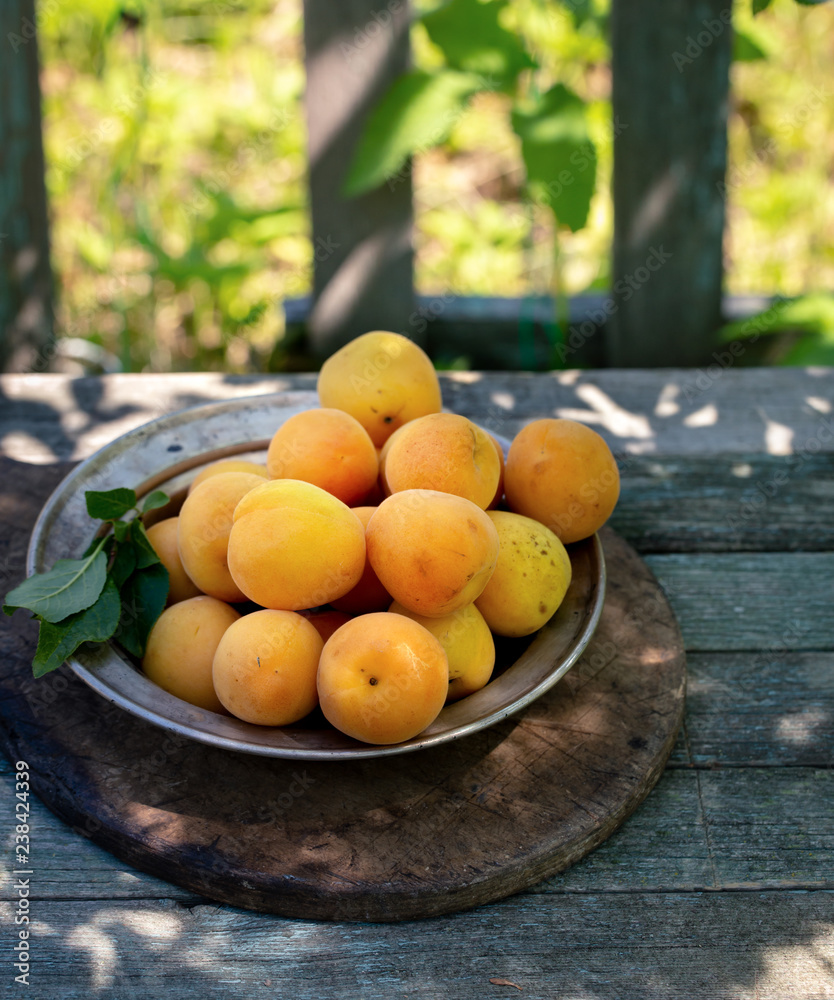 Fresh apricots in metal plate on table outdoor