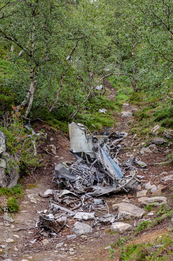 Obraz premium World War II plane wreck in Norway