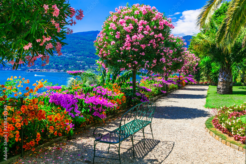 Fototapeta premium Lago Maggiore - piękna „Isola madre” z ozdobnymi ogrodami kwiatowymi. Północne Włochy