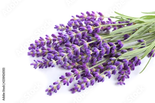 Bouquet of lavender.