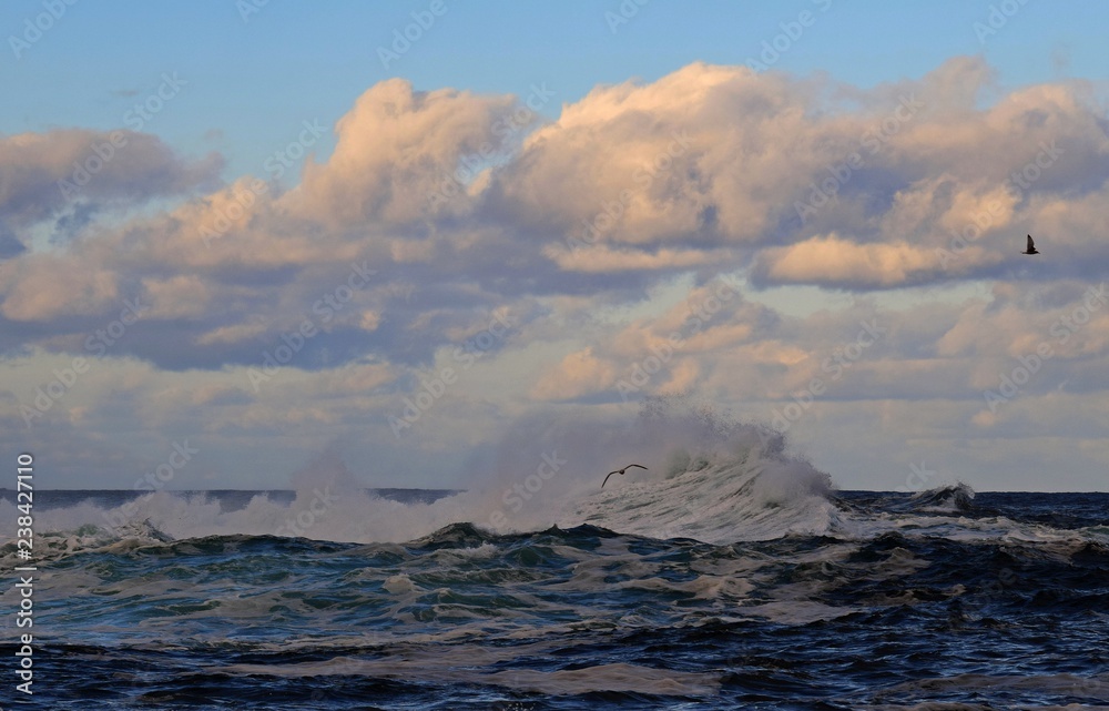 seascape with large wave at dusk