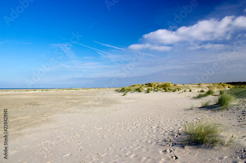the dunes  Renesse  Zeeland  the Netherlands