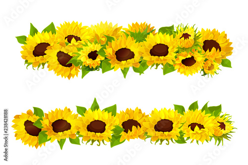 vector sunflower seeds frame