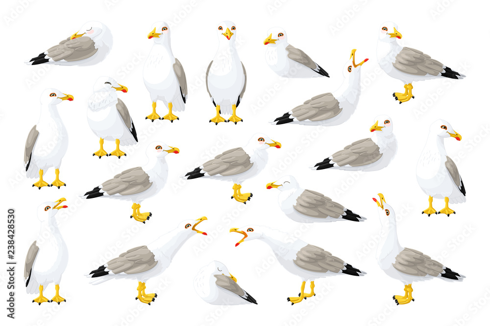 Naklejka premium vector seagull sea gull set
