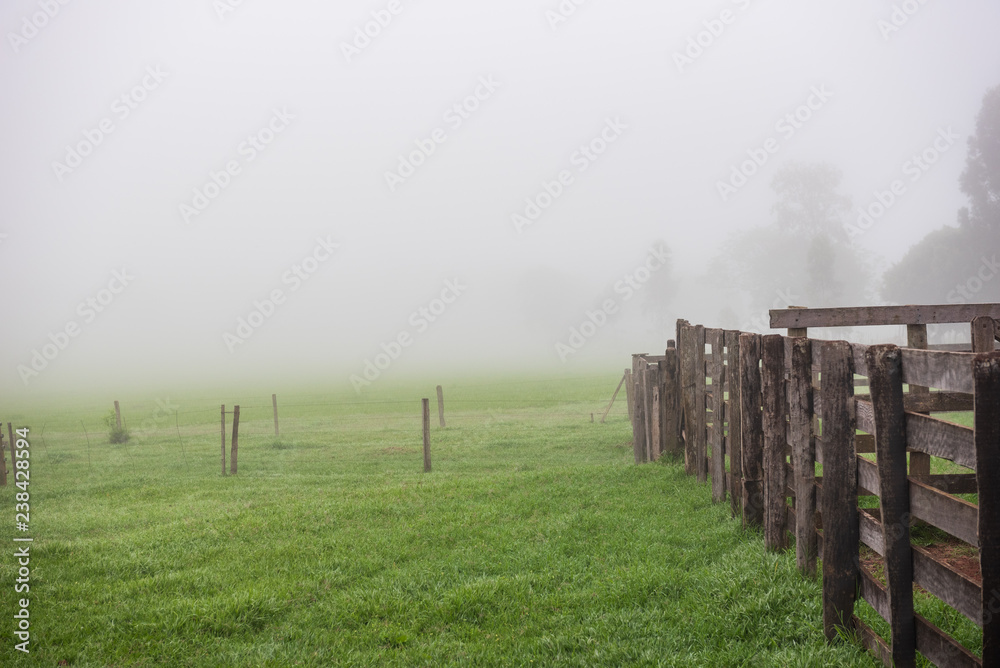 Detail of a farm in the morning with fog on the background