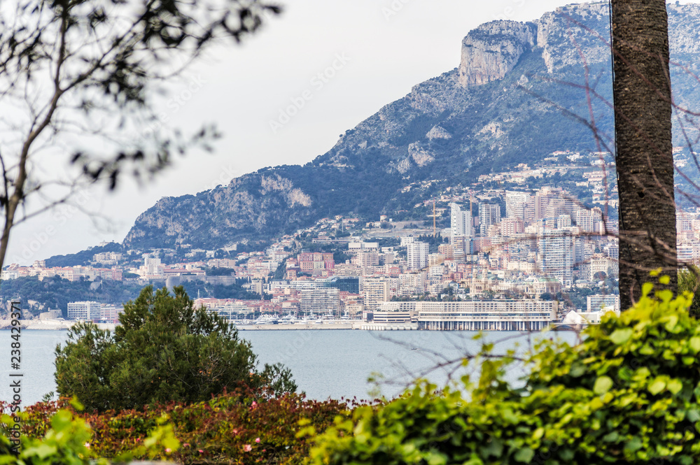 Obraz premium Panoramic view of Monaco in a spring day