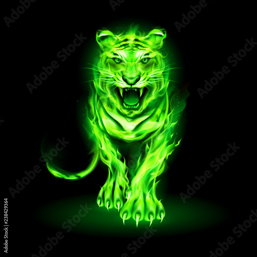 Fire Tiger