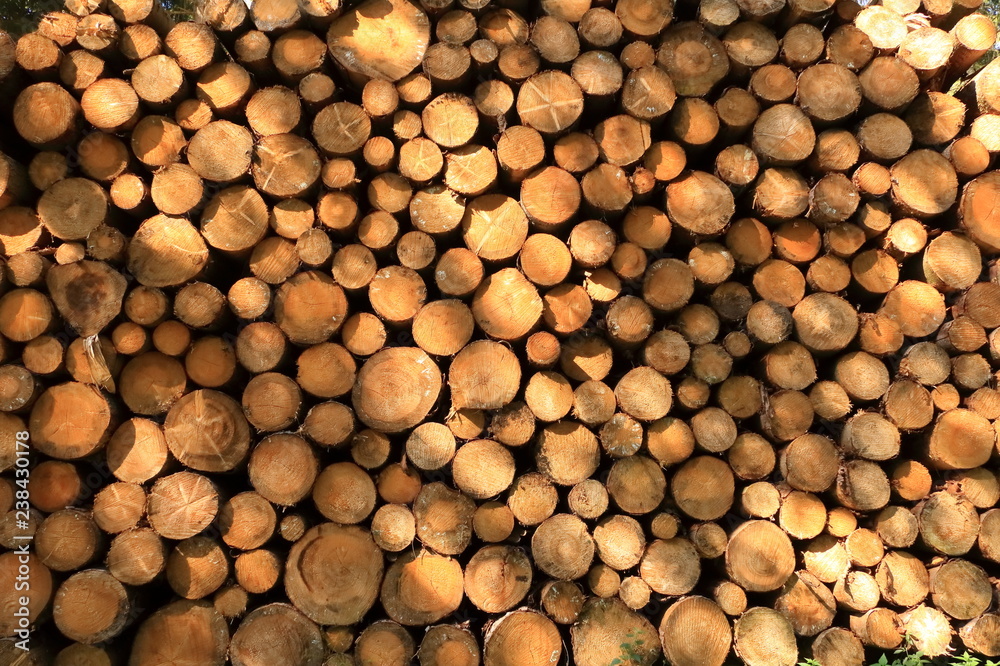 Wall of stacked wood logs as background Wall of stacked wood logs as background