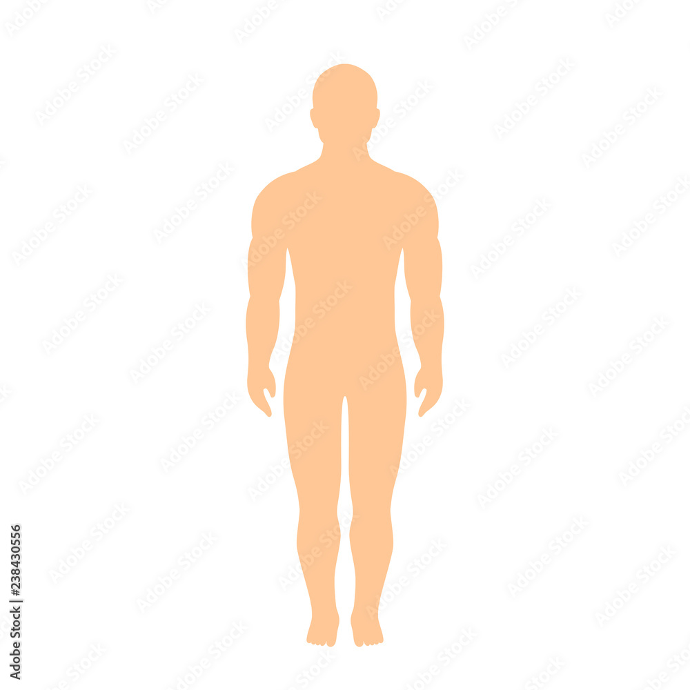 Fototapeta premium Muscular athletic male body silhouette