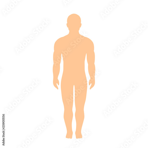 Muscular athletic male body silhouette