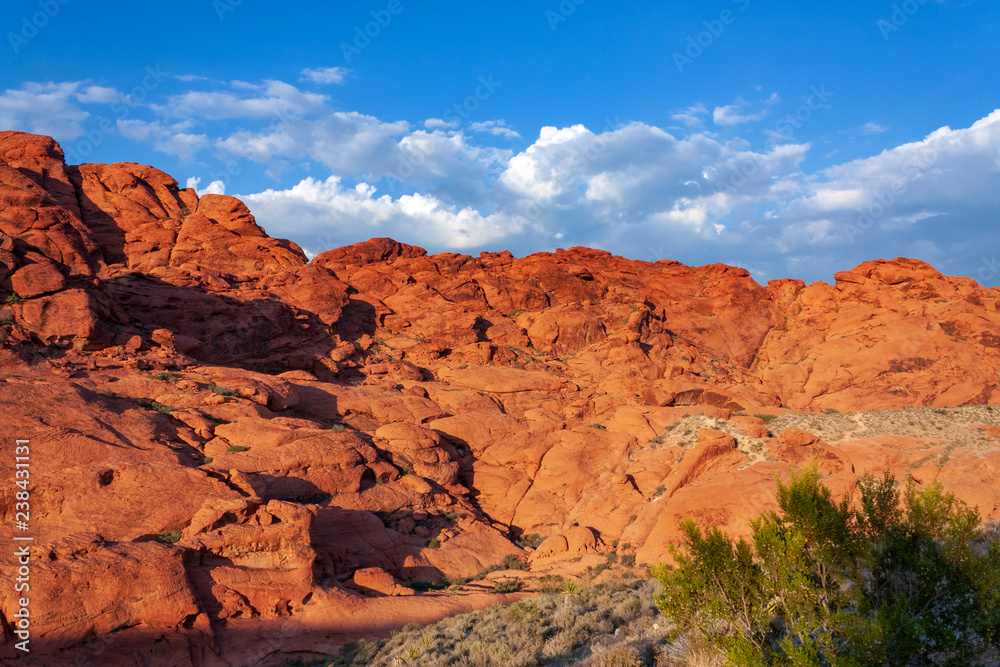 Red Rock Canyon National Conservation Area in Nevada, USA