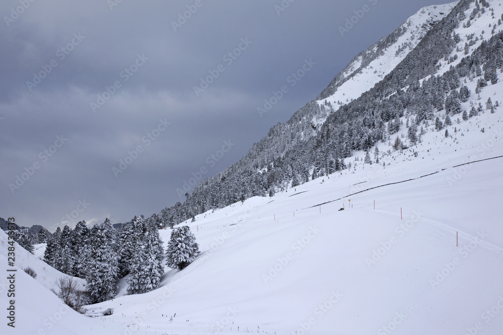 Snow covered trees in the Austrian Alps mountains.