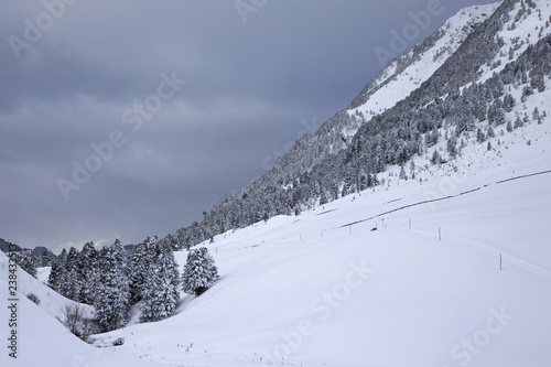 Snow covered trees in the Austrian Alps mountains. © Bouke