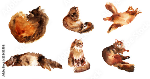 Watercolor hand drawn element set of fluffy cat in different poses: lazy, lying, dreaming, sleeping isolated on a white background