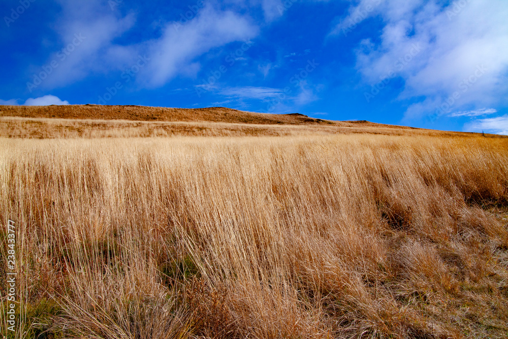 Obraz premium Landscape of autumnal peaks of the Carpathians.