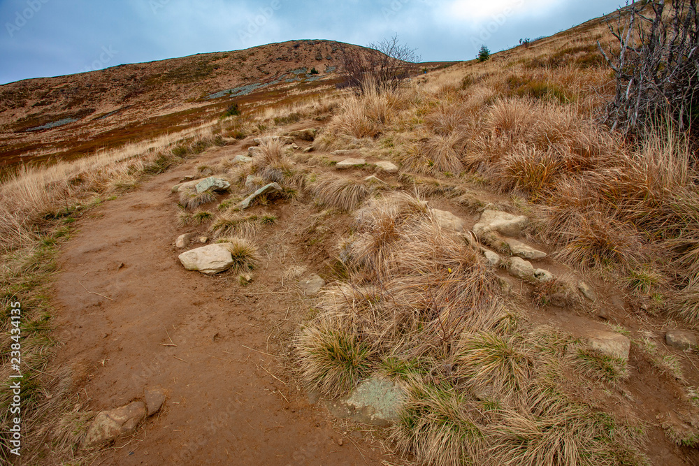 Obraz premium Landscape of autumnal peaks of the Carpathians.