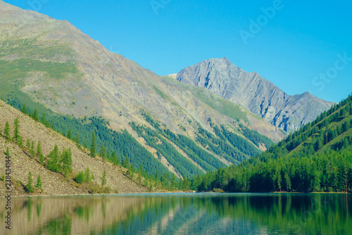 Giant mountains reflected in clean water of mountain lake in sunlight. Conifer forest on mountainside under blue sky in sunny day. Amazing vivid mountainous landscape of majestic nature of highlands.
