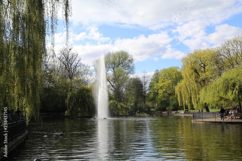 city park with a pool and fountain