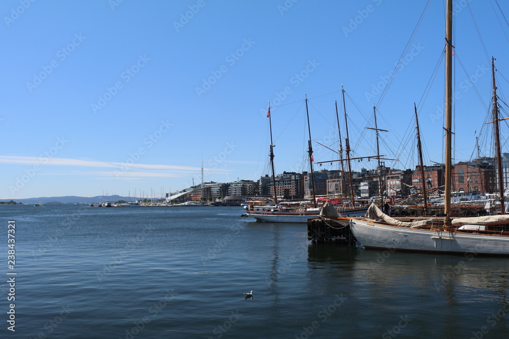 boats in the harbor