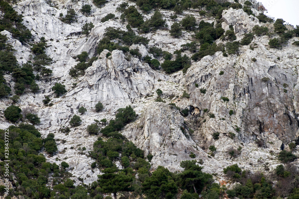 Turchia, Costa Orientale