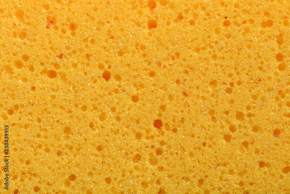 Sponge texture