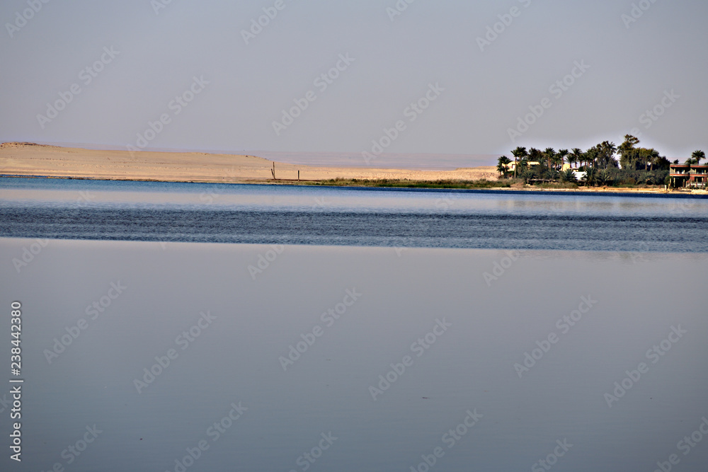 Qarun lake at noon