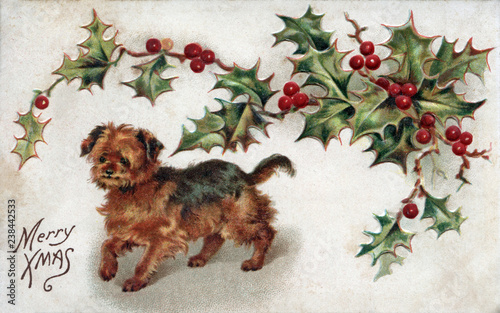 Vintage Christmas Postcard Illustration Merry Xmas puppy and holly