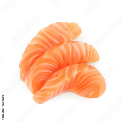 Realistic Vector Illustration of Sliced Salmon Fillet