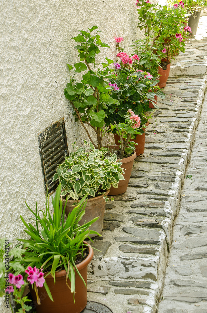 Row of pots in Calle de Pampaneira, village of the Alpujarras of Granada in Andalusia.
