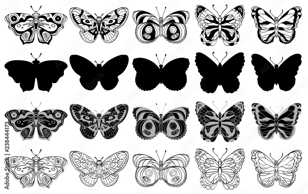 Set of various butterflies forms, silhouettes, ornate icons. Black and white. Set of various butterflies forms, silhouettes, ornate icons. Black and white.