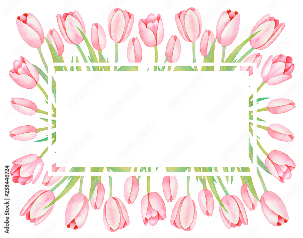 Illustration of watercolor hand drawn  oval frame with pink tulips osolated on white background. Vintage card, wedding invitation design, background with floral elements for text. Spring.
