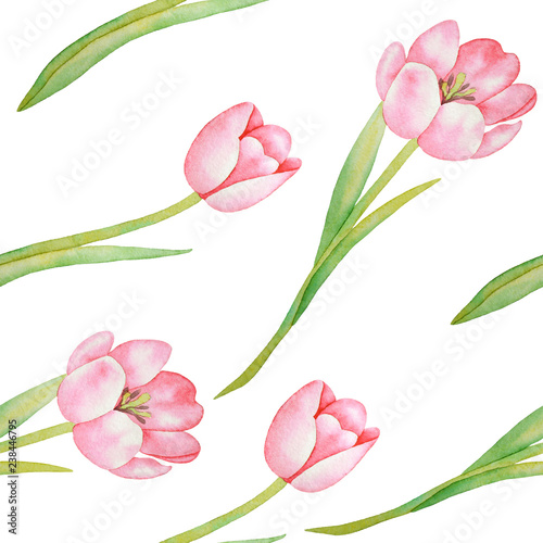 Fototapeta Naklejka Na Ścianę i Meble -  Illustration of watercolor hand drawn pattern with colorful tulips . Vintage card , wedding invitation design, background with floral elements. Spring, exotic, tropical. Chinese and Japanese style.