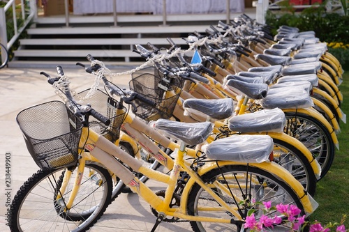 bicycles in amsterdam