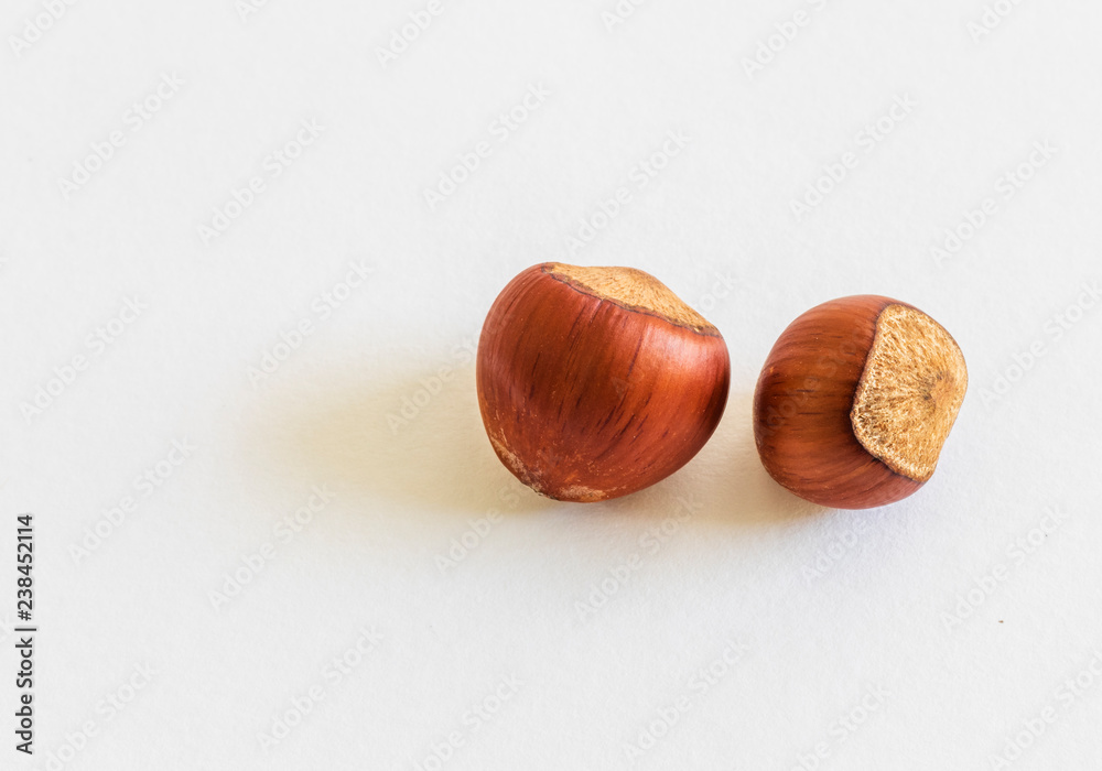close up on hazelnuts with white background close up on hazelnuts with white background