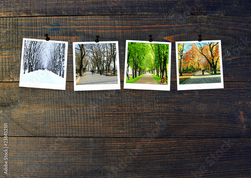 Photos of four seasons attached to dark wooden wall. Seasons on dark background