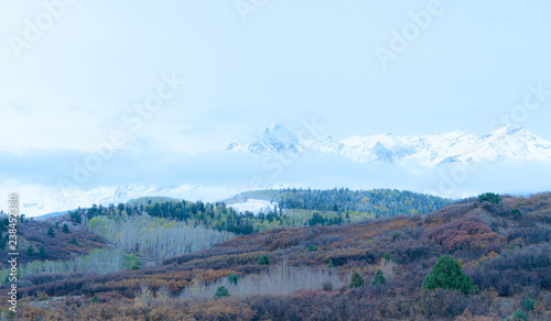 White snow capped peaks tower above dusted fall colored trees