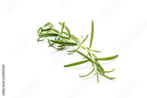 Twigs of rosemary isolated on white background