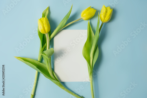 Spring or summer blank stationary template with yellow tulips. Top view. Flat lay