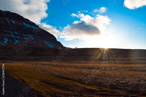 A horse grazes on a hill at sunset