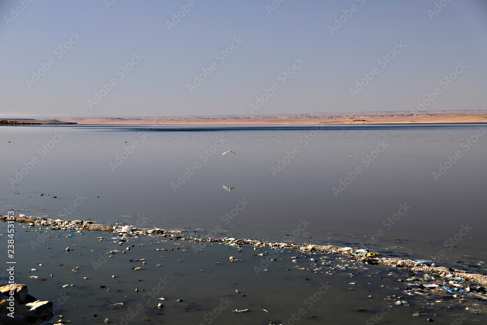 Qarun lake at noon